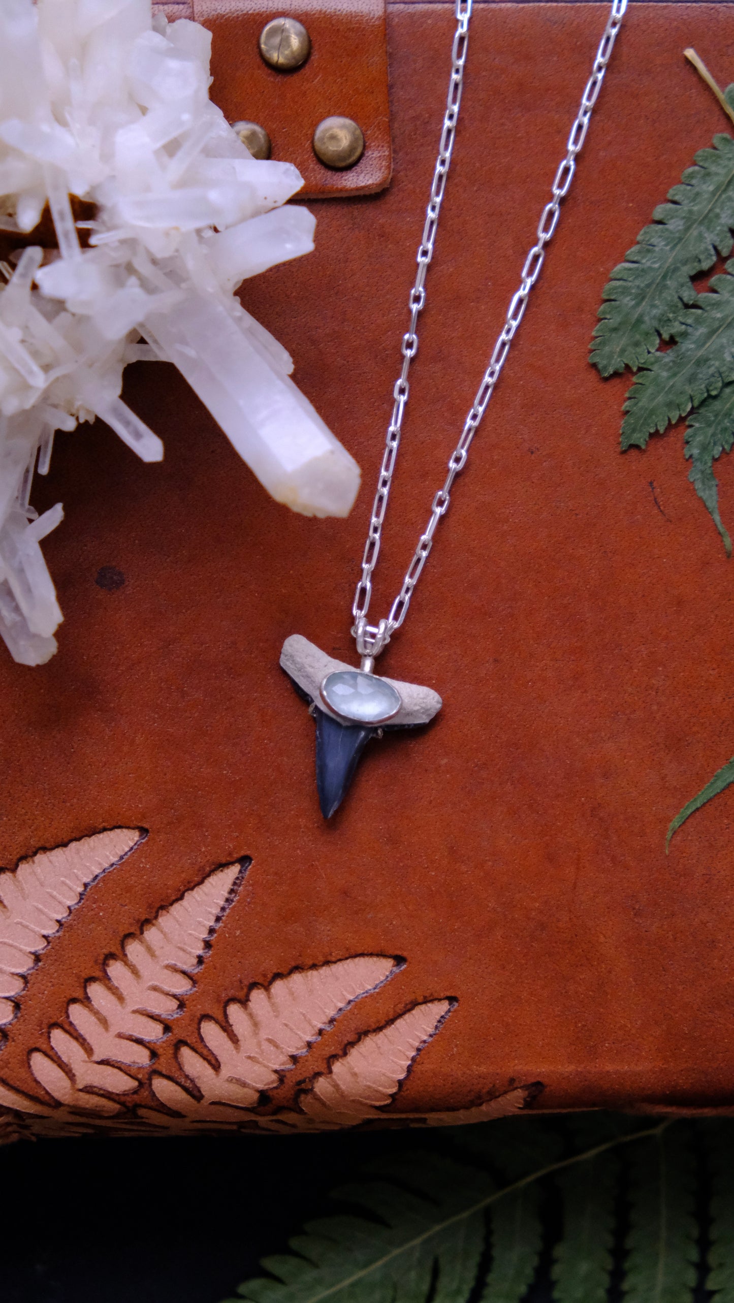 Shark Bait Pendant Necklace, Fossilized Tooth with Aquamarine