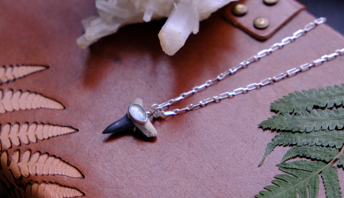 Shark Bait Pendant Necklace, Fossilized Tooth with Aquamarine