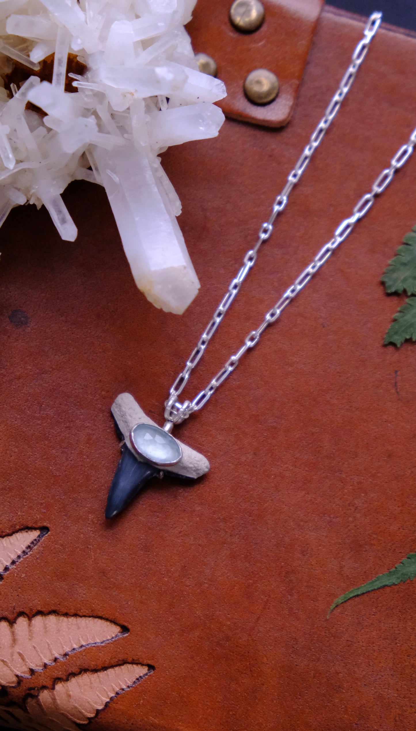 Shark Bait Pendant Necklace, Fossilized Tooth with Aquamarine