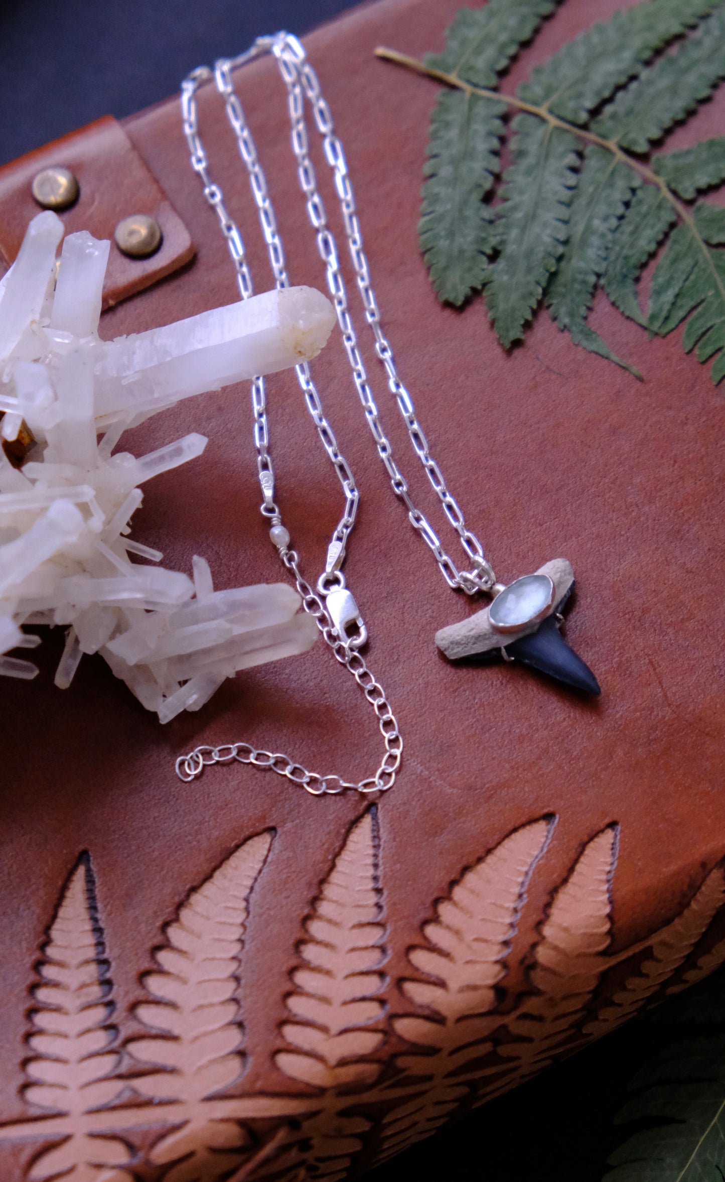 Shark Bait Pendant Necklace, Fossilized Tooth with Aquamarine