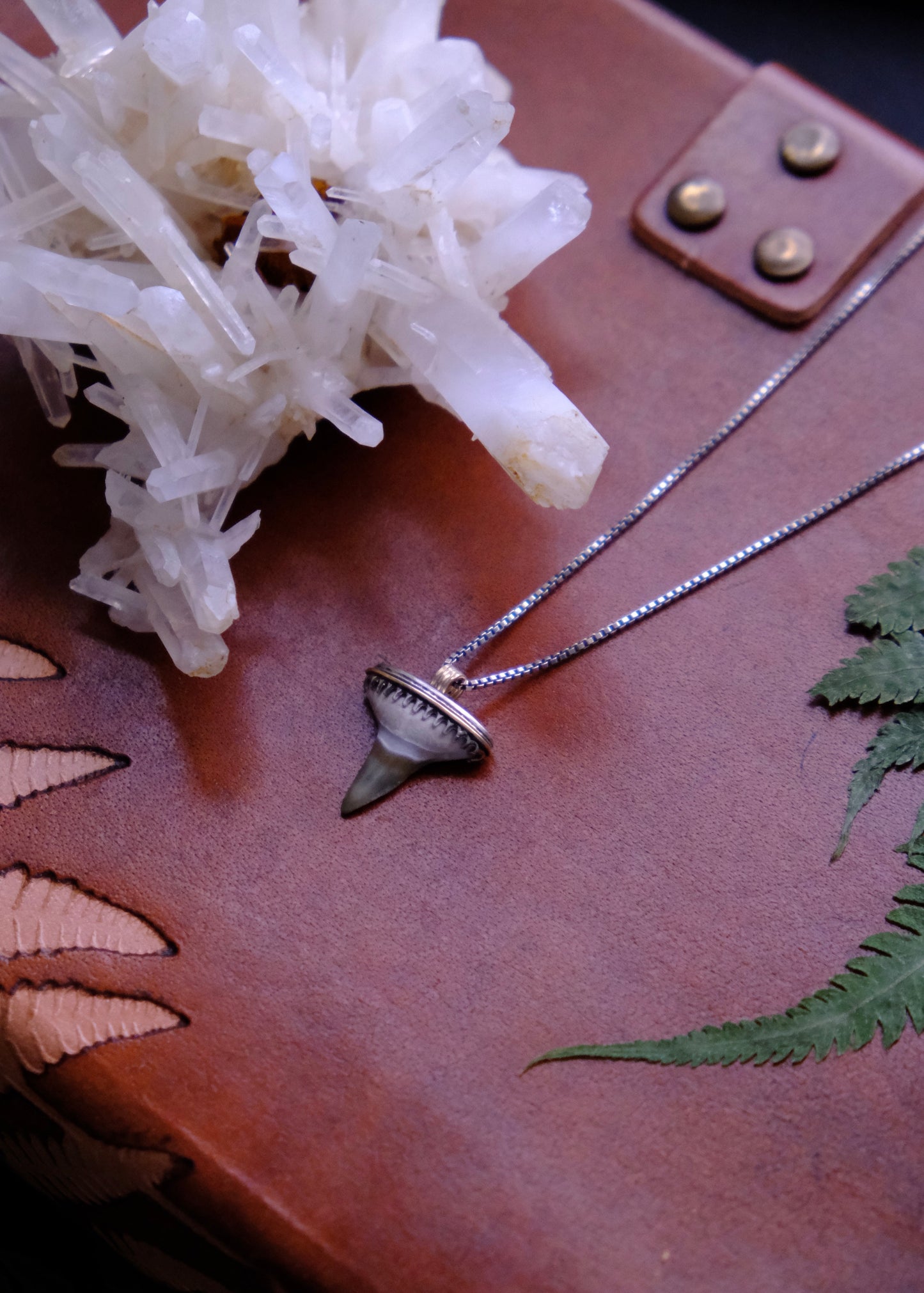 Shark Bait Pendant Necklace, Fossilized Tooth, Sterling & 10kt