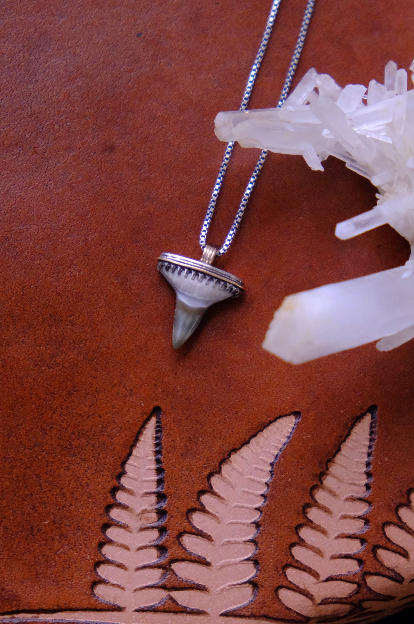Shark Bait Pendant Necklace, Fossilized Tooth, Sterling & 10kt