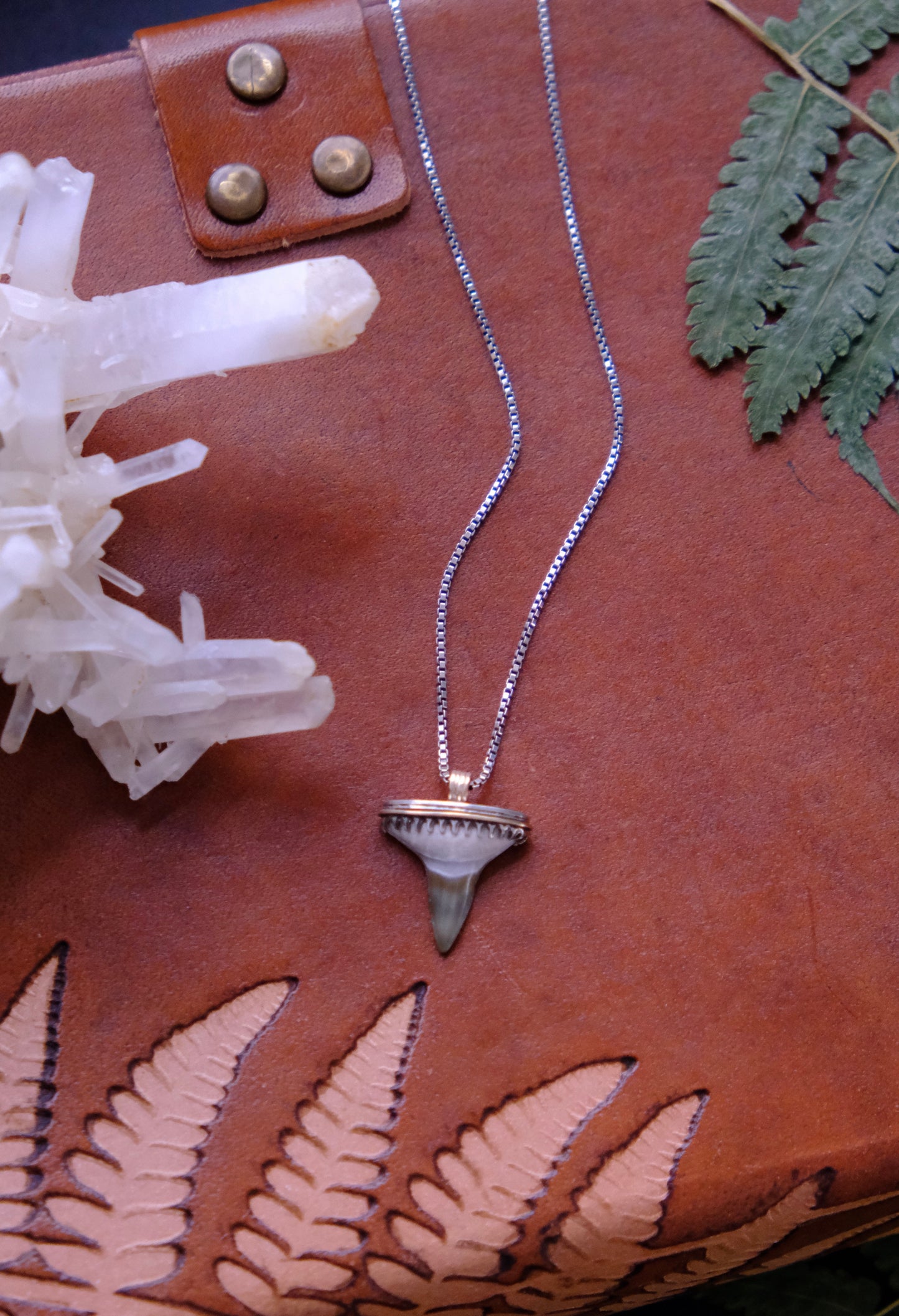 Shark Bait Pendant Necklace, Fossilized Tooth, Sterling & 10kt
