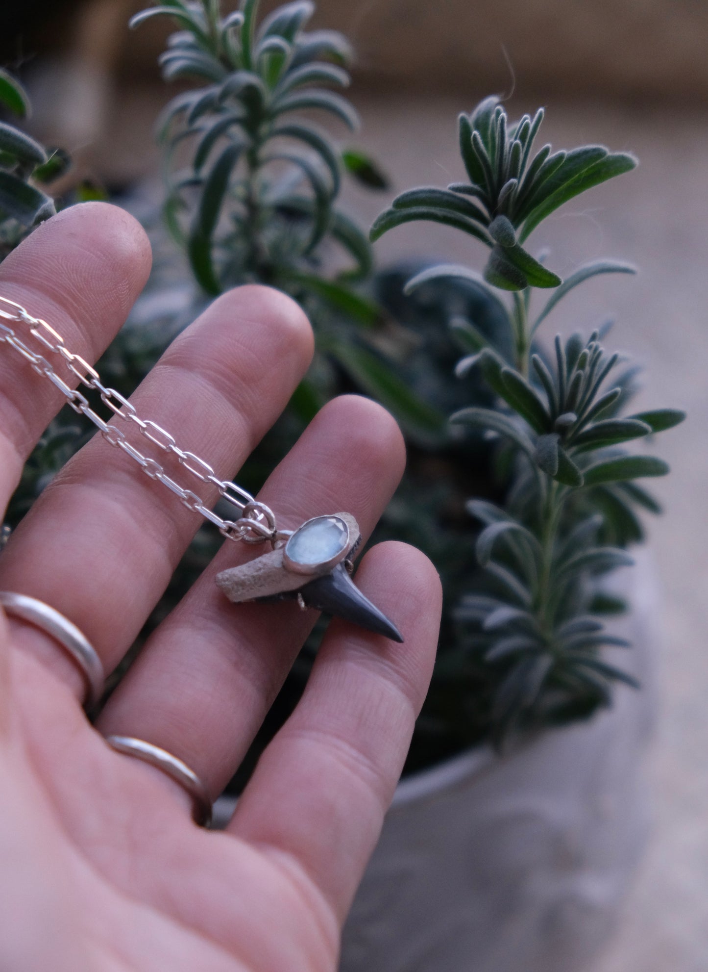 Shark Bait Pendant Necklace, Fossilized Tooth with Aquamarine