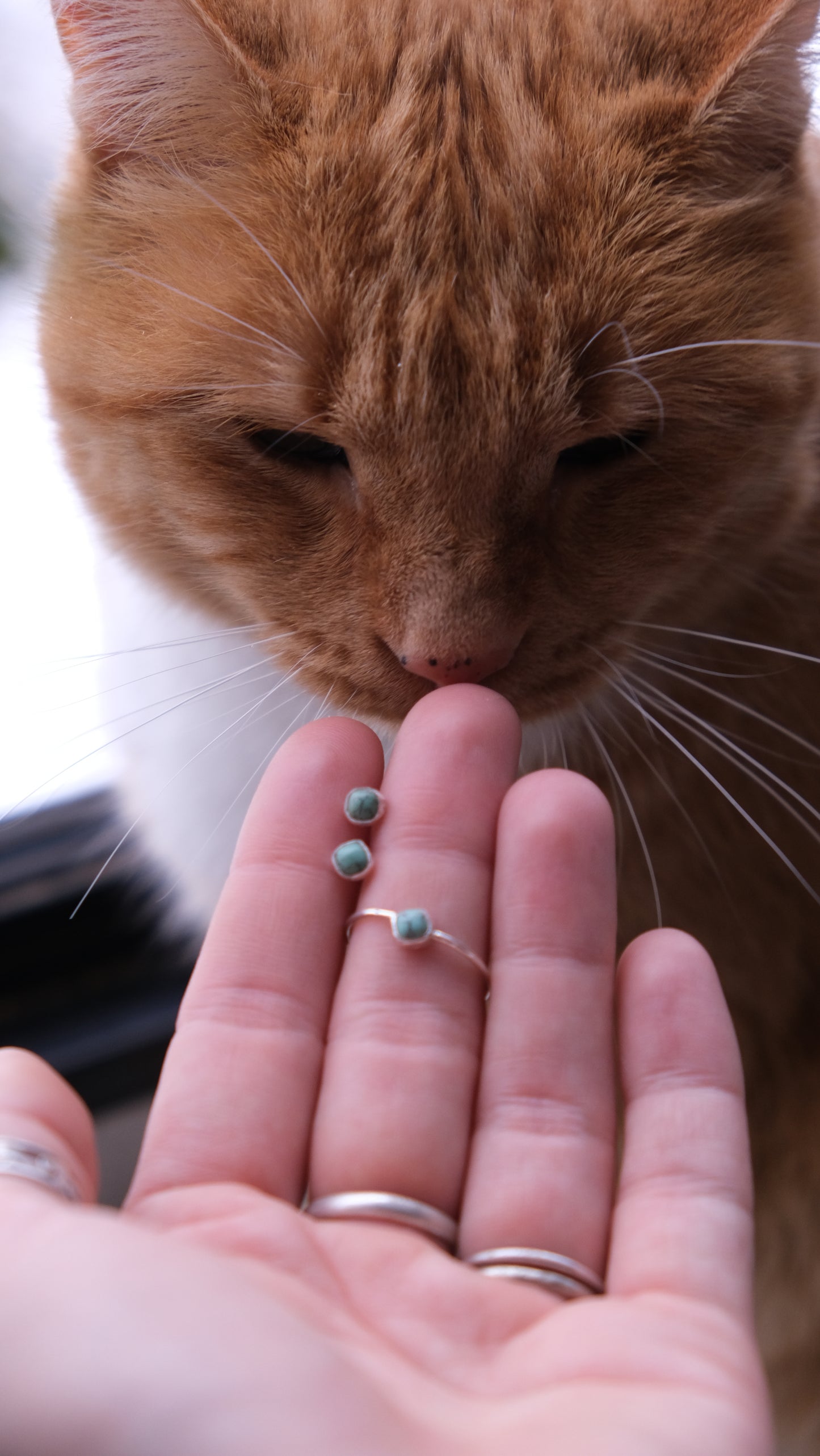 Dainty Turquoise  Stud Earrings