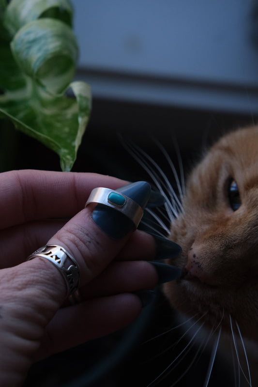 Turquoise Ring -size 8.5